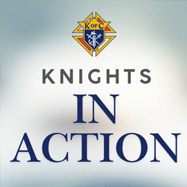 Knights in Action